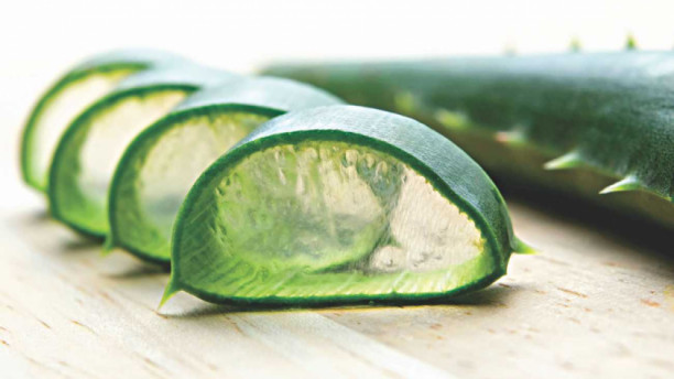 Know your ‘superfoods’: Aloe vera