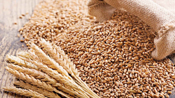 ‘India to allow wheat export’