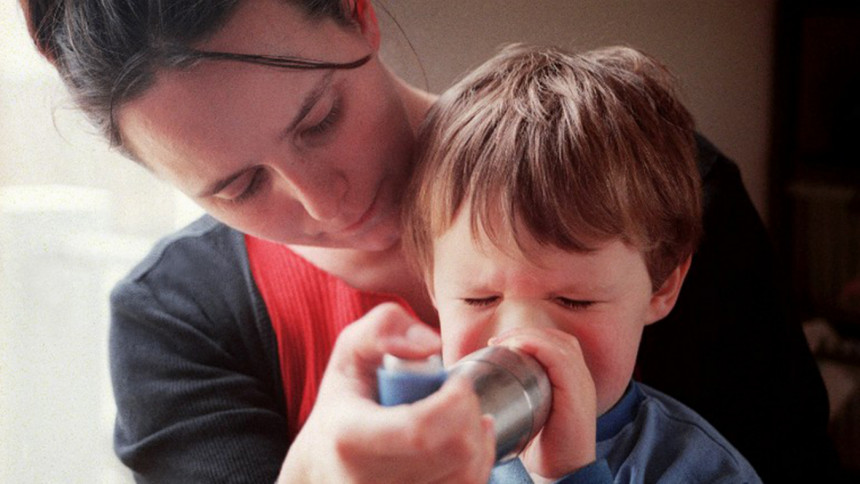 'Good bacteria' key to stopping asthma