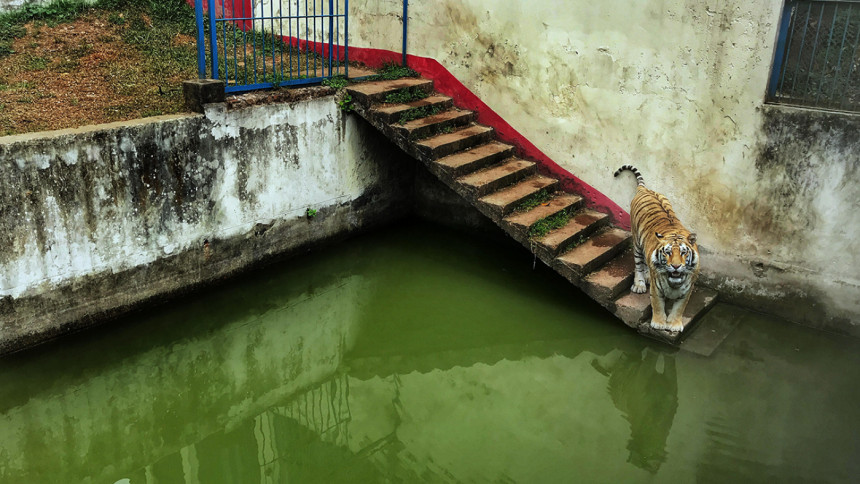 Mirpur zoo Mirpur zoo