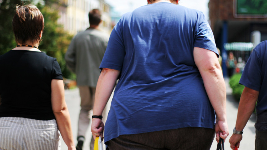 obesity obesity