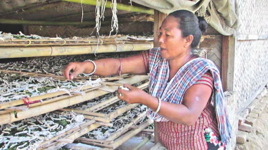 Silk industry in Chittagong Hill Tracts Silk industry in Chittagong Hill Tracts