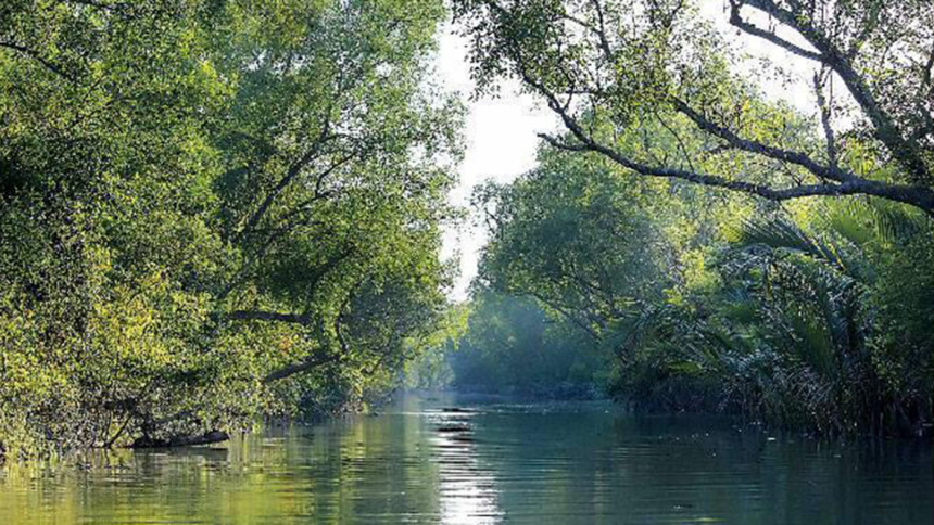 Fishing in Sundarban banned Fishing in Sundarban banned