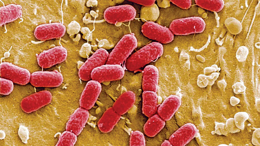 Unchecked infections: When hospitals turn deadly Bangladesh health sector