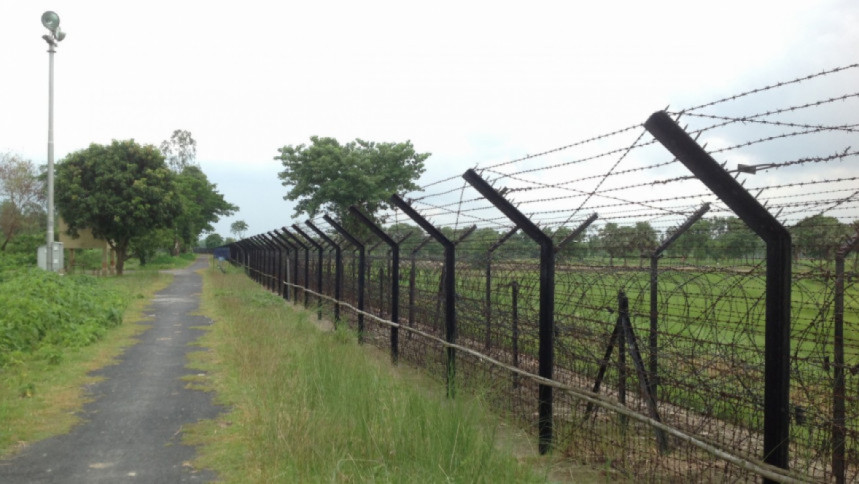 Cattle smuggling at India-Bangladesh border Cattle smuggling at India-Bangladesh border
