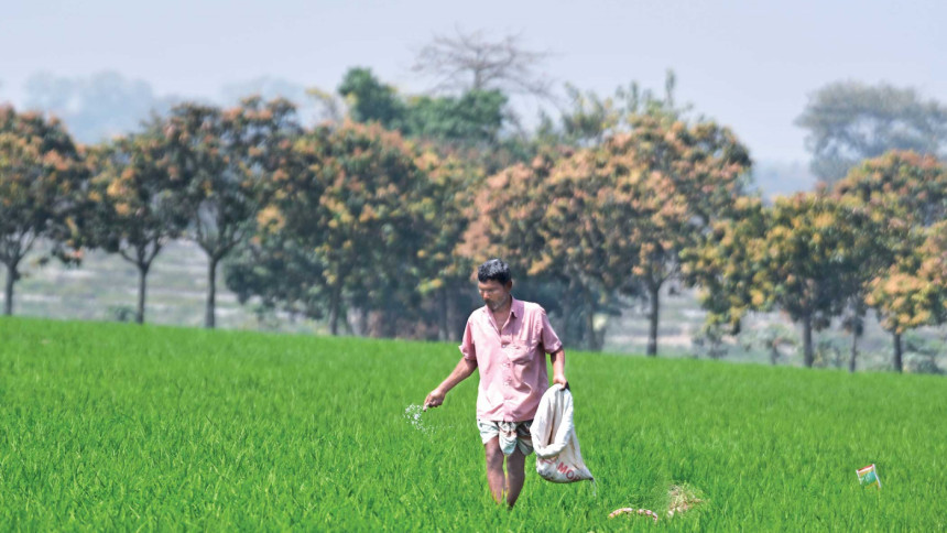 Fertiliser Supply crisis: Govt to buy MOP fertiliser from Canada Fertiliser Supply crisis
