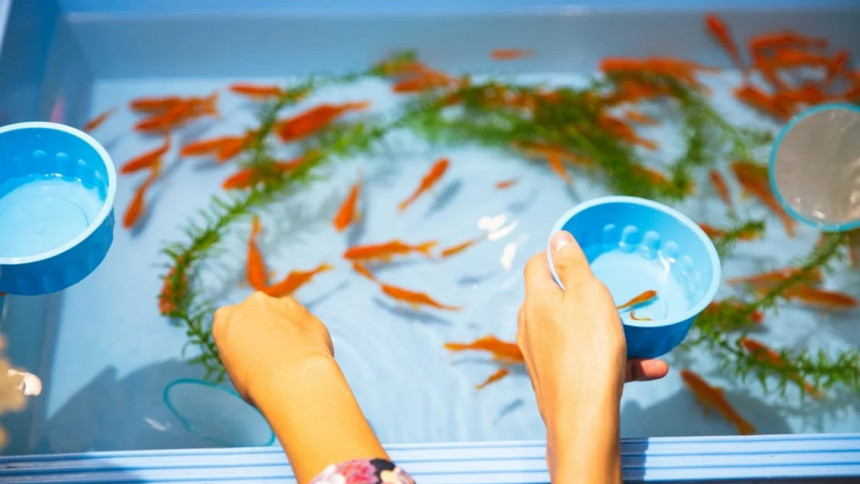 Top 4 ideas to decorate an aquarium Top 4 ideas to decorate an aquarium