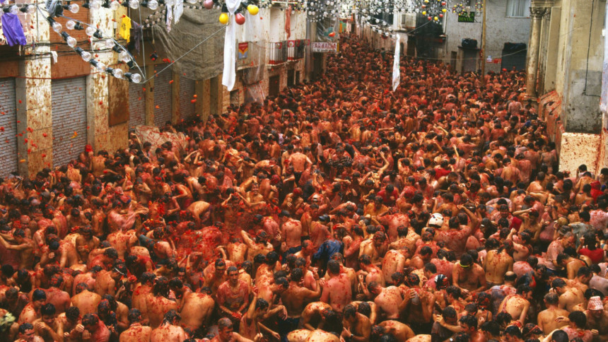 Are you up for La Tomatina Festival? Are you up for La Tomatina Festival?