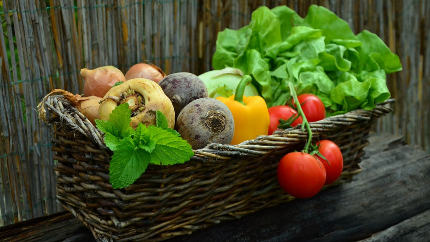 Why organic is the way to go Why organic is the way to go