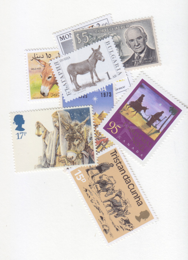 Confessions of a donkey enthusiast Confessions of a donkey enthusiast