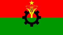 BNP flag