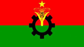 BNP's Flag