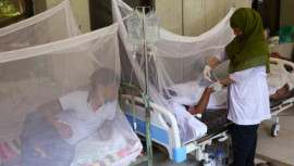 dengue fever patients