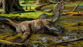 southern China, bird-like dinosaur, destruction, 'Mud Dragon' fossil