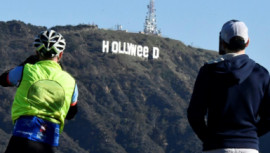 Hollyweed