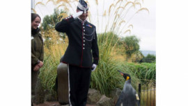 penguin, ABC news, Royal Norwegian Guard, Brigadier, Sir Nils Olav III 