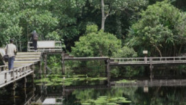 Sungai Kolok, Narathiwat province, water, Thailand