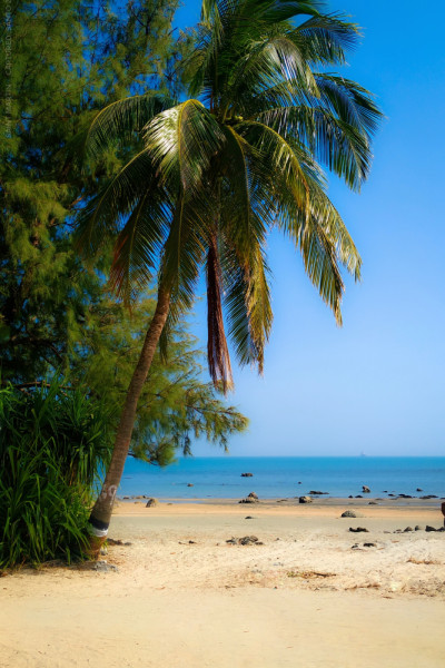 6 places in Bangladesh to visit in winter 6 places in Bangladesh to visit in winter