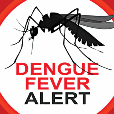 dengue dengue