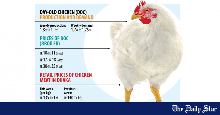 High feed costs: Appetite for poultry farming wanes | The Daily Star