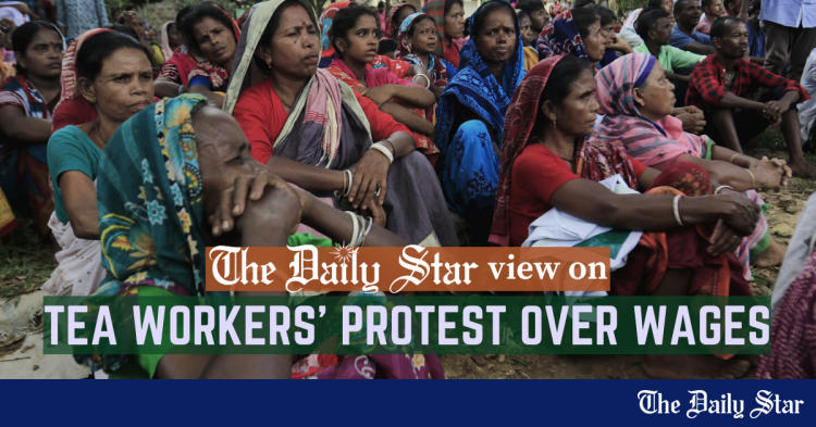 tea-workers-deserve-better-wages