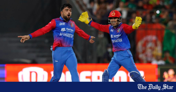 rashid-scales-new-high-in-t20i-wicket-charts