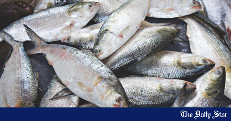 govt-served-legal-notice-to-stop-exporting-hilsa-to-india
