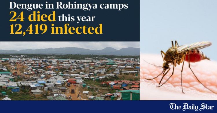 dengue-patients-higher-in-rohingya-camps-than-in-rest-of-the-country