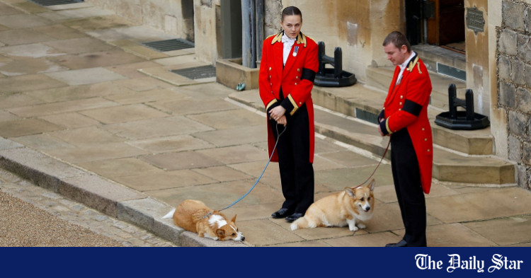 queen-s-pet-corgis-and-pony-say-final-goodbye-to-their-owner