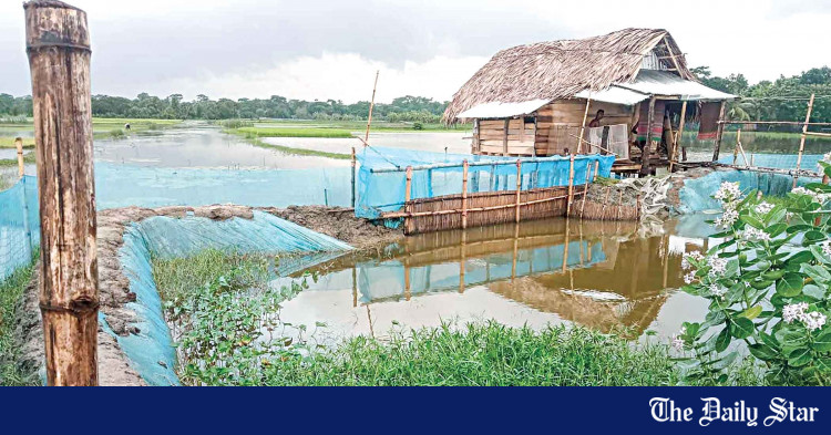 canals-grabbed-for-fish-farming