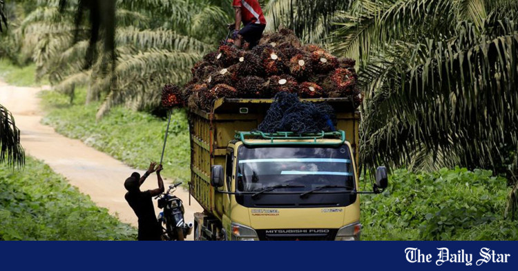 Indonesia, China $2,6 miliar dalam minyak kelapa sawit, kesepakatan perdagangan perikanan