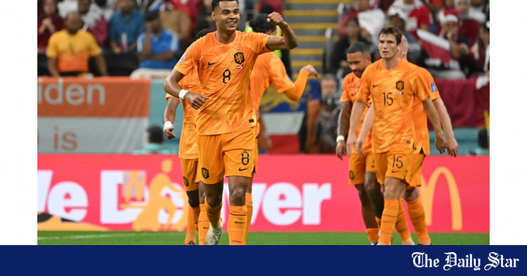 netherlands-see-off-sorry-qatar-to-reach-world-cup-last-16