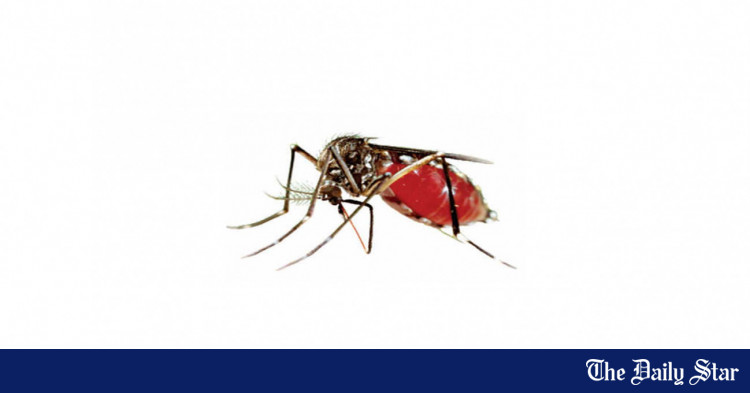 dengue-menace-21-932-cases-86-deaths-make-october-deadliest