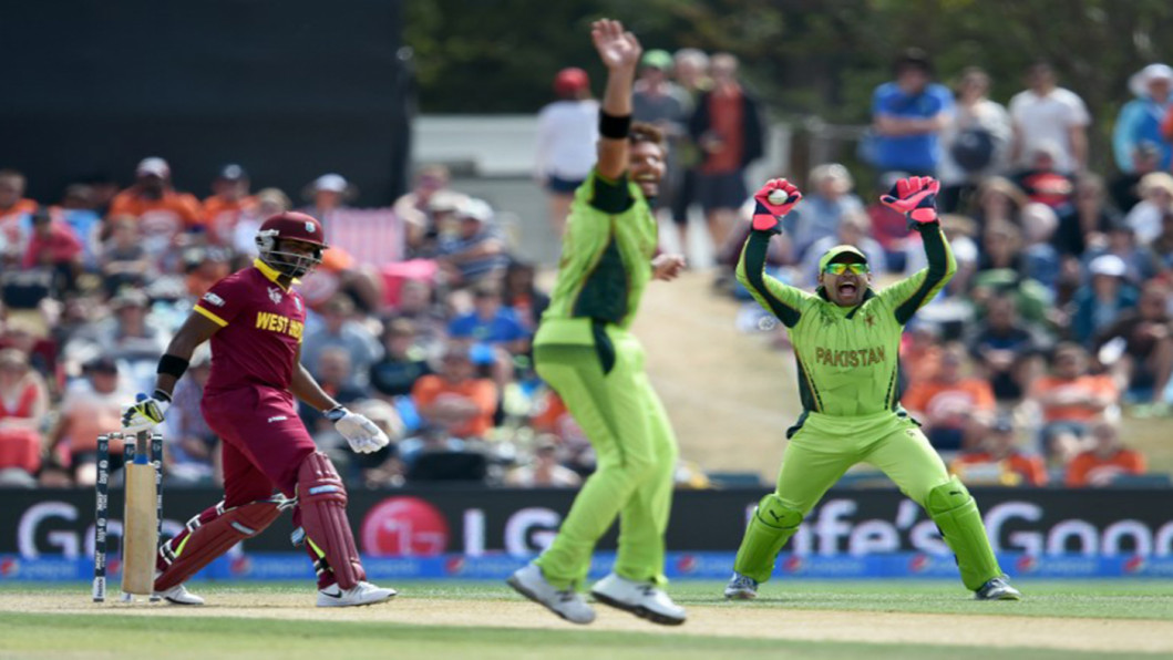 Afridi excited for wicket Afridi excited for wicket