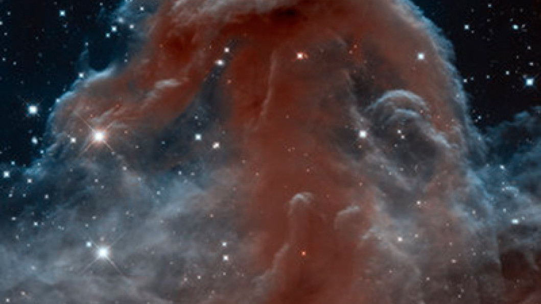 2013: Horsehead Nebula