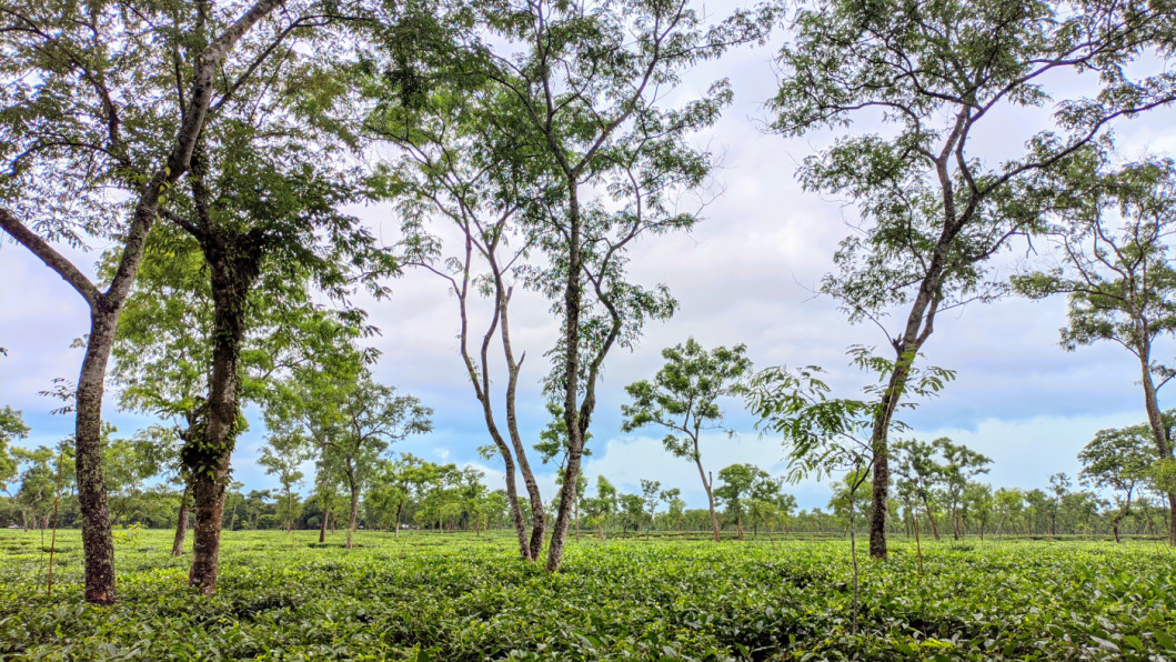 6 places in Bangladesh to visit in winter 6 places in Bangladesh to visit in winter