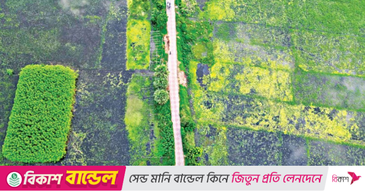 ছবি: অরিত্র সাত্তার