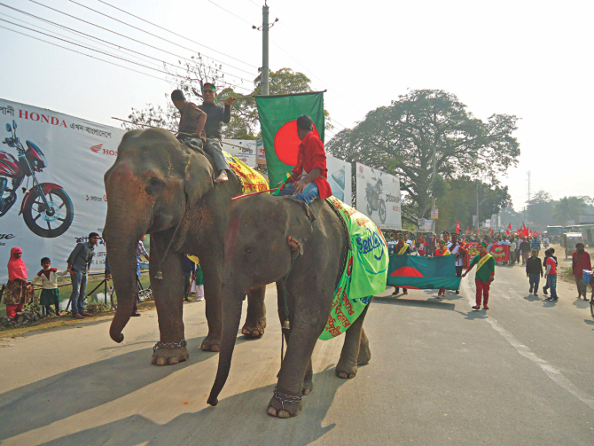 Elephants parade ahead of a colourful procession in Thakurgaon district town yesterday, marking the day of liberation in 1971. PHOTO: STAR