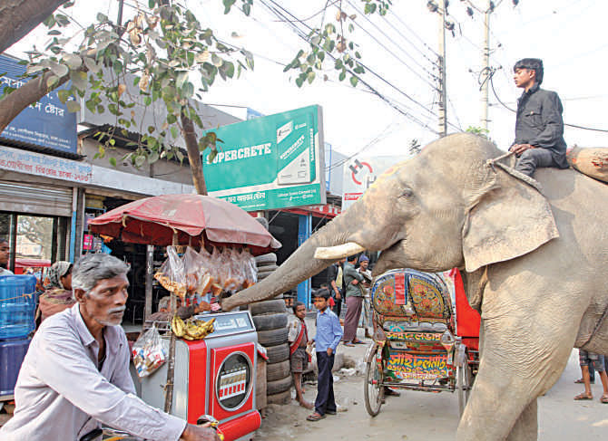 Photo: Prabir Das